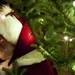 Santa talks with families in Kerrytown on Sunday. Daniel Brenner I AnnArbor.com